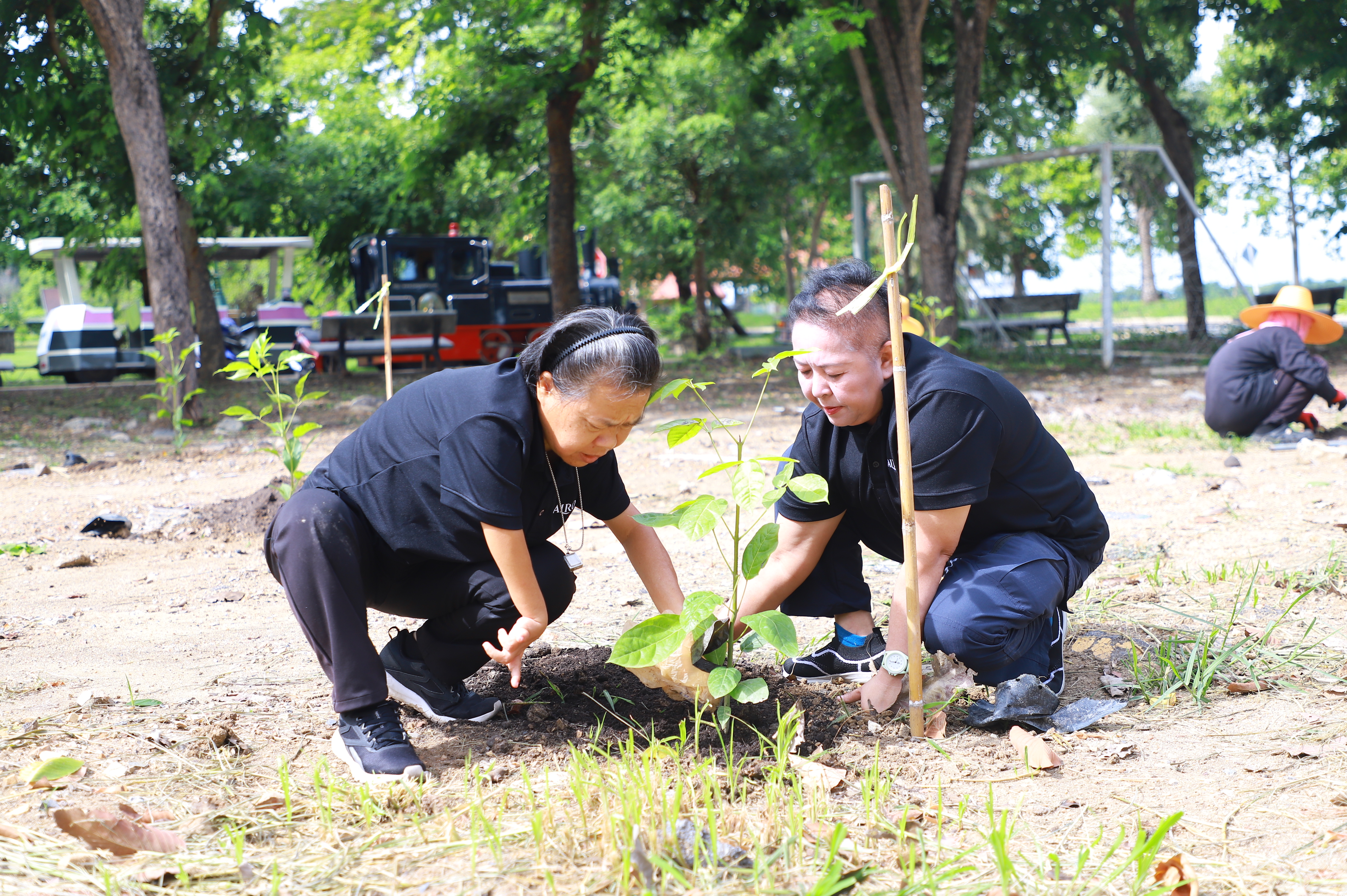 title - ส.ป.ก. - depa ร่วมใจปลูกต้นไม้ ภายใต้กิจกรรม CSR ปลูกต้นไม้ (Grow Green) เพิ่มพื้นที่สีเขียว ลด CO2 ณ ศูนย์ส่งเสริมและพัฒนาอาชีพเสริมนอกภาคการเกษตร
